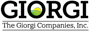 giorgi logo