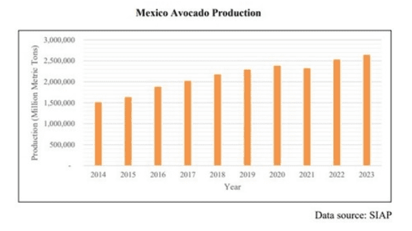 mexican avocado production siap