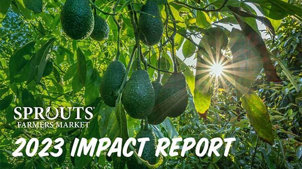 sprouts impact report
