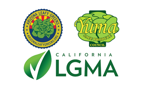 lgma logos