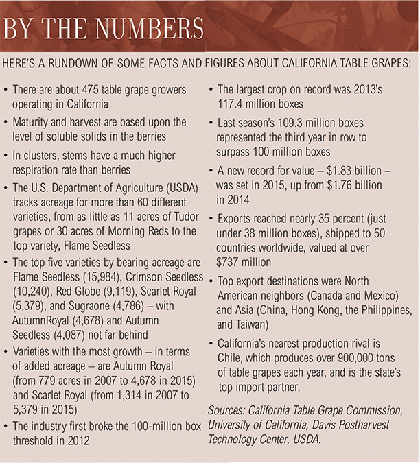 Grapes_By The Numbers